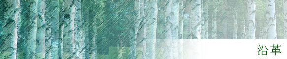 沿革